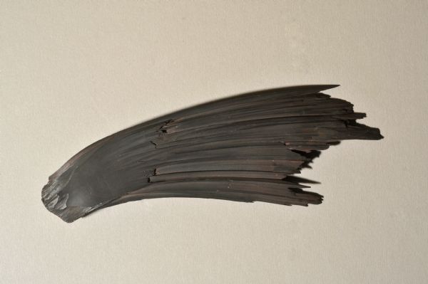 A hematite fan, approximately six inches in length, from the mineral collection of Ferdinand Hotz at the University of Wisconsin Geology Museum. This specimen was collected either in Ely, Minnesota, or Superior, Wisconsin.