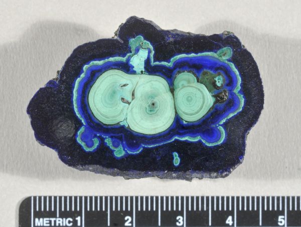 A cut and polished azurite malachite nodule from the mineral collection of Ferdinand Hotz at the University of Wisconsin Geology Museum. Azurite and malachite are copper carbonate minerals.