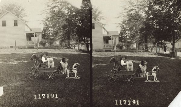 Stereograph of a child in a wagon with two dogs. Another dog sits behind him on the right, and a toy horse straddles the wagon tongue. The child is wearing a large hat and overalls. In the background is a house, fence and trees. Next to fence on the right stand three young children.