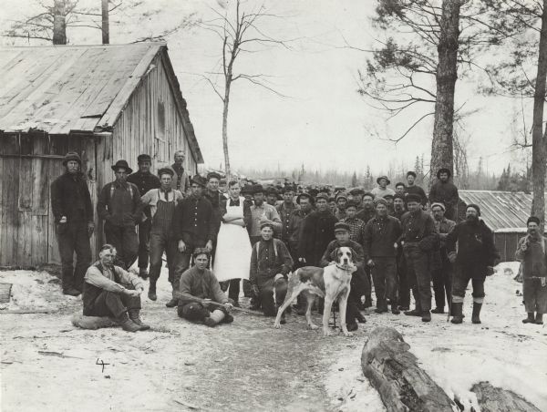 Group portrait of loggers and support staff in a lumber camp. In front (holding dog) is T.J. Thompson, a man that traveled using a sled pulled by his dog. He traveled among the lumber camps, selling watches and jewelry.