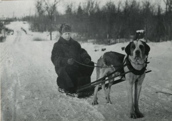 T.J. Thompson seated on a sled pulled by his dog. He traveled among the lumber camps between Winter and Raddison, selling watches and jewelry.