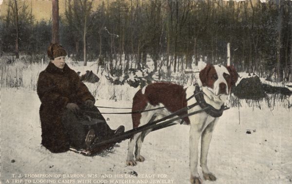 Colorized postcard of T.J. Thompson seated on a sled pulled by his dog. He traveled among the lumber camps between Winter and Raddison, selling watches and jewelry. Text on the bottom reads: "T.J. Thompson of Barron, Wis. and his dog ready for a trip to logging camps with good watches and jewelry."