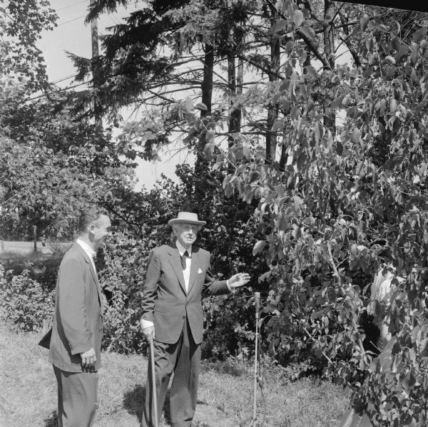 Frank Lloyd Wright touring the grounds of the First Unitarian Society Meeting House. Wright, who designed the meeting house, was present to film a speech for an Omnibus television broadcast. The man with Wright has not been identified. There is a microphone standing in the grass on the right.