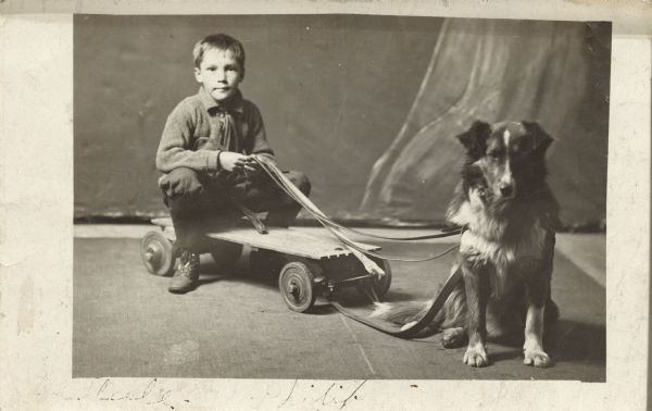 Photographic postcard of a studio portrait of a boy sitting on a small flatbed wagon hitched to his dog. The dog is sitting and both are gazing at the camera.