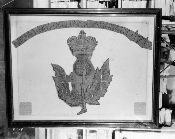 Photograph of a framed Scottish Historical Armorial Flag.