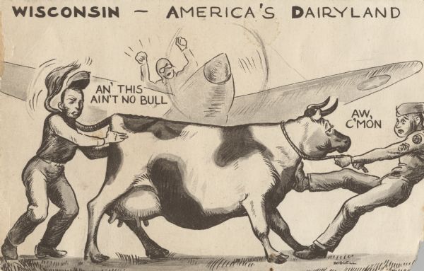 A postcard of a drawing depicting a frustrated pilot in a plane trying to land behind a dairy cow. A soldier is pulling and a farmer is pushing to try to get the cow out of the way. The farmer is saying, "An' This Ain't No Bull" and the soldier is saying, "Aw C'Mon." At the top is the text: "Wisconsin-America's Dairyland."