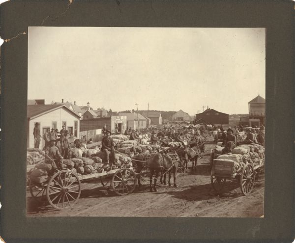 Farmers with wagon loads of sacks of potatoes(?), probably waiting to load them on a train.