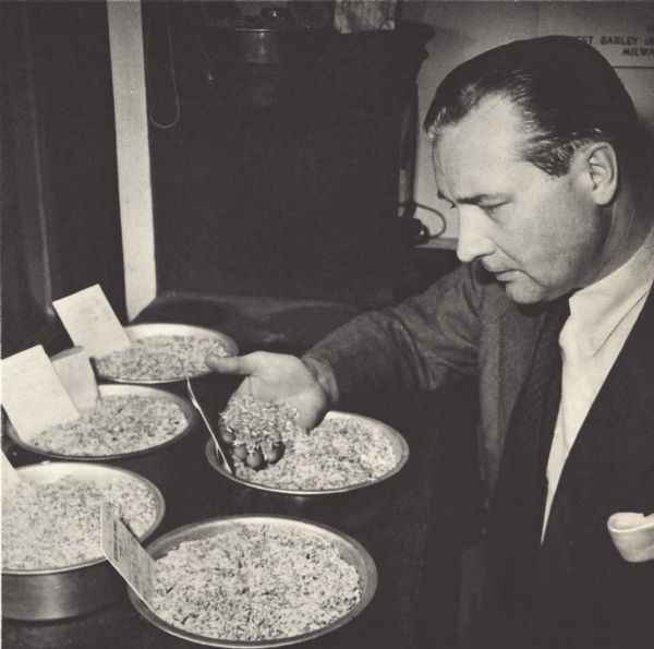 Stuart F. Seidl, Vice-President of the Rahr Malting Company, inspects barley for sale at the Minneapolis Grain Exchange.  Rahr was headquartered in Manitowoc, Wisconsin when the photograph was taken.