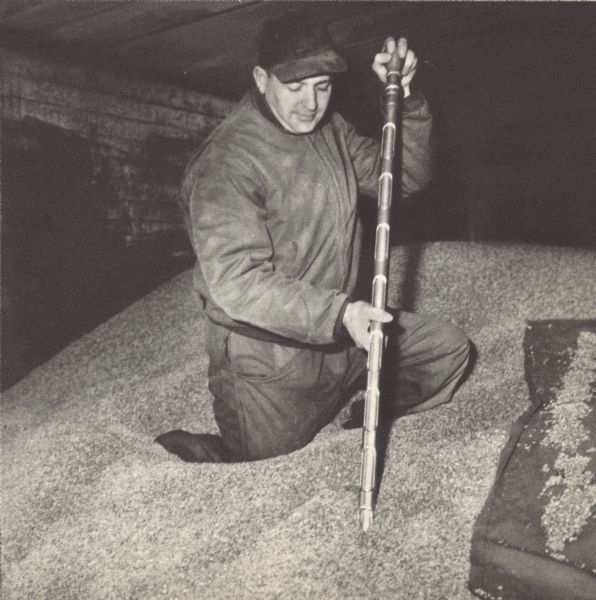 A worker samples finished malt at the Rahr Malting Company, Manitowoc, Wisconsin, circa 1950.  He is using a hand-held sampling probe, a tube with multiple pockets along its length, which can be rotated to secure samples from various depths.  This technique can locate areas of inferior grain layered in the bulk.  Because bulk malt is not a homogeneous material, samples for testing must be taken from multiple locations to insure that the test results represent the container as a whole.