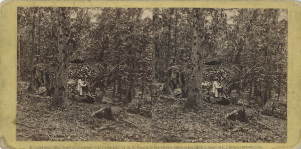 Stereograph of Culp's Hill at the site of the Gettysburg Battlefield. A man in a light-colored coat (may be Mathew Brady) is sitting on a boulder in the center. Battle damage can be seen on the trees. Handwritten on the back, "On the right of our line."