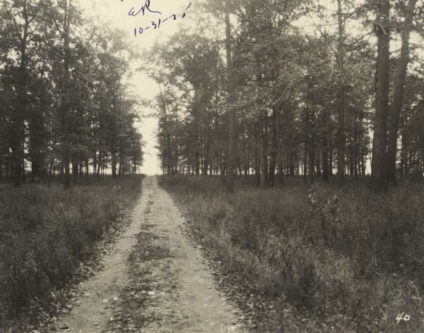 View down dirt road running through trees. On the far right obscured by trees is a building, perhaps a garage or dwelling. Text at foot of photograph reads, "70th. St. 141+30 Looking South from Line." Handwritten in ink at top, "Ex. 23, ER, 10-31-25."