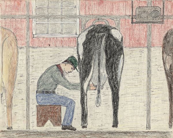 A man sits on a stool while hand milking a Holstein cow in a stall in a red barn. He is wearing work clothes and a hat. A golden cow and a spotted brown cow are in stalls on the left and right. A radio is sitting on a shelf in the upper right corner. In the background is a window set in the wood above the concrete wall.<p>The following is a recollection from the creator: "Milking. Of all the winter chores, the morning milking was the most trying. We rose early on the cold mornings to milk the cows. Putting on long underwear and overalls, we left the house and walked in the darkness through snowdrifts to the barn. The cows would get up from their stalls, their breath filling the air. Cats, lazy after the night’s sleep, left their beds under the straw to welcome us. The great Holstein bull in the heavily barred stall at the end of the barn bellowed a morning greeting. Ralph and I strapped the milking machines to the first two cows, placed the cold milk cups on their four teats, turned on the valve above the stanchion, and the milking began for another morning.<p>The small black radio was tuned to WLS, bringing news and music from Chicago and breaking the sounds of the animals and the milking machines. On the mornings when the electricity had gone out because of a storm, we milked the cows using pressure produced by the gasoline-powered generator. If the engine would not start, we were forced to milk the entire herd by hand. We would sit on wooden stools with our heads against the bodies of the cows and do the milking."
