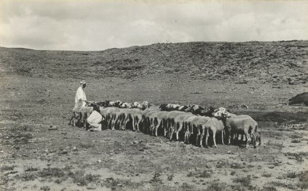 A man has tied up a flock of goats and a woman is milking them. They are wearing indigenous clothing. The landscape is rocky with hills in the background. A section of a tent is on the extreme right.
