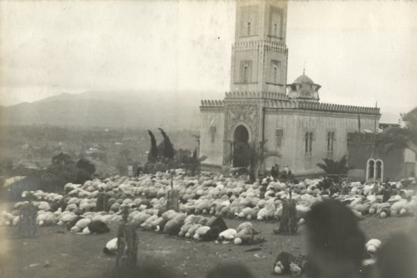 Algerian Muslims touching their foreheads to the ground in prayer outside of a mosque.