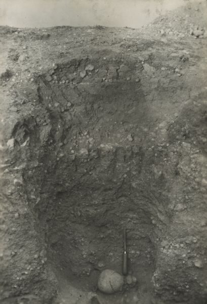 A skull at the bottom of a excavation at Mechta. A digging pick has been included to show scale.