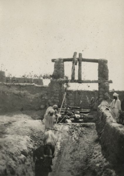 Three men working with an oxen to draw water from a well with a skin bucket. The well has a stone structure holding the pulley.
