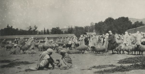 View of a sheep market at Canrobert, Algeria. A crowd of Algerians and small herds of sheep gatherd in an open area. Buildings are on the right and back with a wagon in between. Trees and hills are in the background.