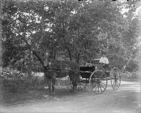 A woman holds the reins in a horse-drawn, two seated, open buggy parked on the side of a bend in a dirt road near a stand of trees. She is dressed in a dark skirt and light blouse, and wears a hat. The horse has a fly-net made of knotted string over its harness to repel flies.
