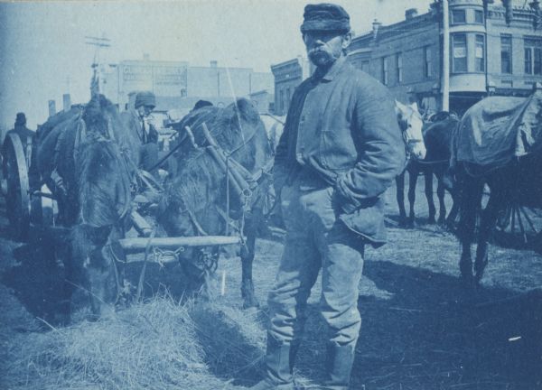 Polish immigrant standing near a team of horses eating hay in Market Square. He is wearing work clothes. Large brick buildings are in the background.