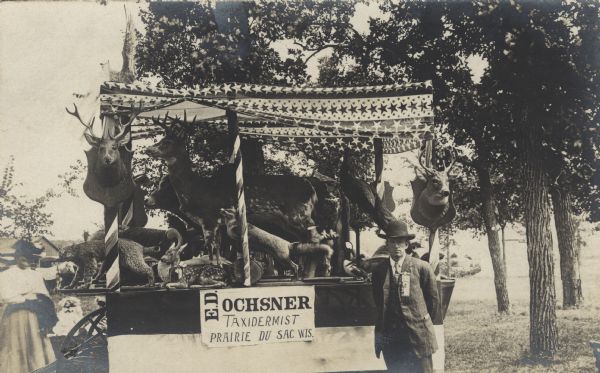 A man in a suit and hat, and a ribbon on his lapel, poses in front of a cart with a sign that reads: "E.D. Ochsner, Taxidermist, Prairie du Sac, Wis." Bunting with a star decoration is wrapped around the top of the covered cart. The display contains deer, cows, fox, bobcat, birds, ducks, swans, owls, peacocks and turtles. In the background are buildings and trees. Two women stand behind the cart on the left.