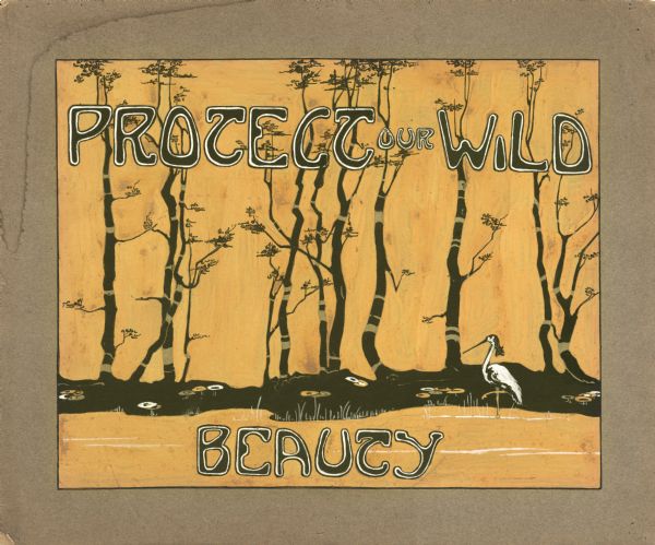 Watercolor design for a conservation poster made by a Wisconsin high school student as part of a competition. The poster has an image of birch trees and flowers on the shore of a lake. On the right is a large water bird near the shoreline. Above and below is the text: "Protect our Wild Beauty" in black outlined in white.