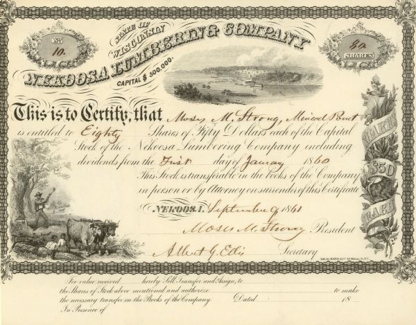 Nekoosa Lumbering Company stock certificate for eighty shares made out to Moses M. Strong. Each share costs $50.00.