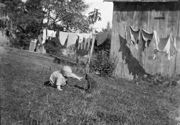 View across yard towards James Peterson playing with a cat. In the background, laundry is hanging on a clothesline and beehives are standing at the edge of the lawn, under trees. Buildings are on the right and left.