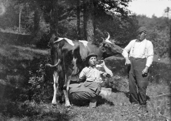 Two men are posing with a cow in a field under trees. One of the men is sitting as if milking the cow with one hand, while he is drinking from a bottle with his other hand. The  cow appears to be chewing on the elbow of the shirt of the other man who is standing on the right. Caption from <i>A Life in Photographs and Letters, Carl & Christine Peterson, My Grandparents</i>, "More refreshment, with a cow."
