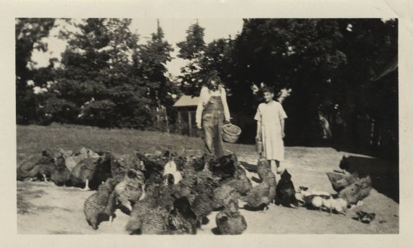Gustave Ott (1871-1954) and Anna Ott (1871-1954) feeding a large flock of multi-colored chickens on their farm. Gustave is carrying a kettle and Anna is holding a can. In the background are buildings, trees and a lawn.