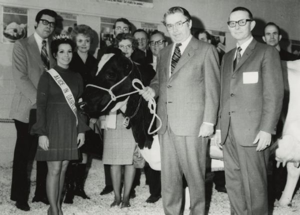 Group portrait of Governor Patrick Lucey, Alice in Dairyland Marsha Lindsay, and others at ceremonies proclaiming the Dairy Cow as Wisconsin's official "Domestic Animal." The Governor is holding the rope halter on the cow, and the group is standing in sawdust. There are posters displayed on the wall in the background.