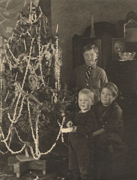 Laurie (oldest), Muriel and James Peterson posing with a decorated Christmas tree. James is holding a square object in his hands. Behind them is a parlor organ.