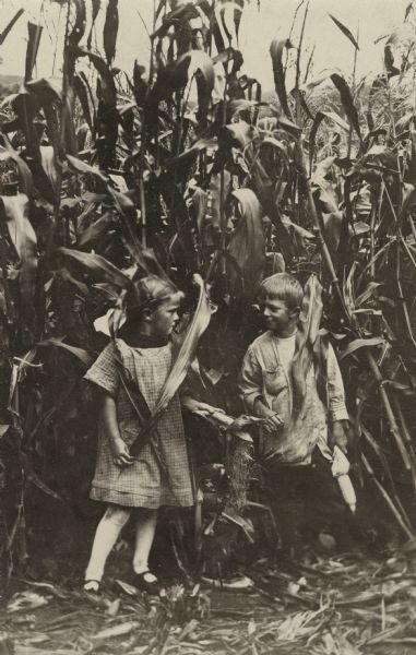 Muriel and Laurie Peterson posing in front of a corn field as they look at each other. They are each holding corn cobs and leaves.