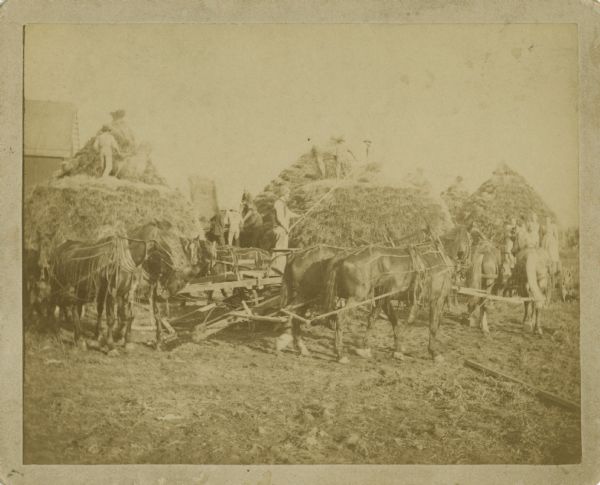 Farm workers spreading hay onto two haystacks on farm on the east side of Highway 51 north of Pflaum Road. Three teams of horses, wearing fly-nets, are providing horse sweep power. Two or three finished conical haystacks are in the background on the right. A small group of women are looking on from the right.