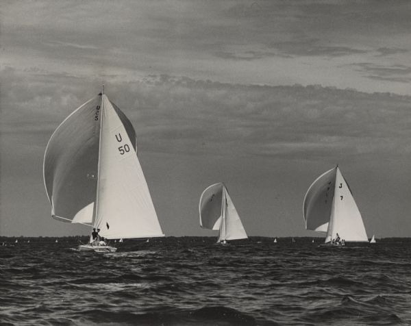 Three sailboats on Lake Winnebago, U50 (Eskimo), U7 and J7. Crew members are on the boats. The water is choppy and the sky is cloudy. In the background are other sailboats and the far shoreline.
