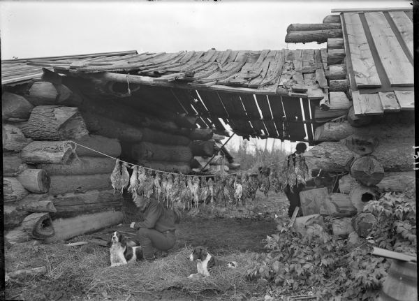 Twenty-six dead pheasants are hanging from a rope suspended between two log structures under a roof. A man is kneeling in the hay next to a dog. On the right is another dog. In the background on the right behind the birds is a man and young child. In the far background is another log structure.