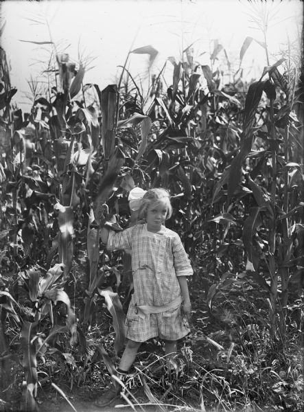 A girl posing in a cornfield, holding on to a tall corn stalk. She is wearing a plaid dress with a belt, socks, and shoes, and has a bow in her hair. 