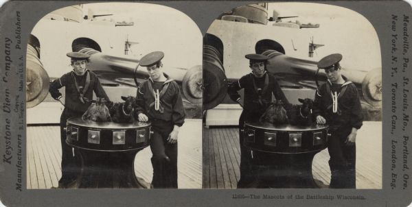 Stereograph of two sailors posing with the goat mascots of the battleship "Wisconsin." The goats are sitting together on the capstan as the sailors are standing and leaning against it. In the background are the barrels of the heavy guns. Caption on card: "11695 — The Mascots of the Battleship Wisconsin."<p>Text on the reverse, "Captain Mahan, of the United States Navy, referring to Ruskin's tribute to the old ship of the line, writes of the modern battleships; 'No higher exhibition of man's creative faculties is probably anywhere to be found.' The present steel battleship is the result of half a century of evolution under the practical guidance of men of the highest intelligence and most exact scientific attainments. The first iron-clad ship in the world was built by Mr. Stevens of New York for the United States government is 1843. Ericsson's 'Monitor' was the original of the turreted battleships, which have been adopted in the American, British and Italian navies. The entire navy of Holland is of turreted ships. The 'Wisconsin' is a turreted battleship, built at San Francisco in 1899 at a cost of $2,674,950. Her main battery has four 13-inch guns and 14 six-inch guns, the secondary battery has 16 six-pounders and 12 other rapid fire guns. Captain Mahan constantly urges in his writings that a powerful navy is not so much for war as to prevent war by the silent persuasion of a force that cannot be trifled with."</p>
