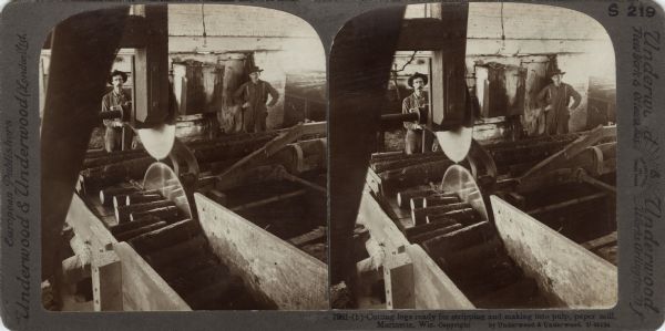 Stereograph of two men cutting logs ready for stripping and making into pulp at a paper mill. Caption reads, "7981-(b)-Cutting logs ready for stripping and making into pulp, paper mill. Marinette, Wis. Copyright by Underwood & Underwood. U-85124."<p>Printed on the reverse, "7981. This is one of the first stages in the preparation of a sheet of stout "manila" wrapping paper.<br>We are inside one of four great mills belonging to a single company at Marinette, Wisconsin. Only a few rods away, outside this building, the Menomonie River is hurrying by to pour into Green Bay (Lake Michigan). The machinery here is run by power from turbine wheels, turned by water diverted from the river.<br>Those twin circular saws are revolving at a tremendous rate of speed, so that their disks looked blurred. The lever held by the man at the left controls the carriage on which the large logs rest. A moment more and he will move the carriages this way so that the first log will be pushed against the saws — with one cutting from above and the other from below it will be a matter of only a few seconds to sever a section.<br>The next process will be stripping off the bark. then the bared wood, chiefly spruce, is to be reduced to fine chips and sent to great vats where it will be subjected to a long cooking in baths of powerful chemicals, reducing it to thick creamy liquid stuff (see Stereograph 7982 for pulp in liquid form).<br>From the mixing tanks the thick liquid will be strained and run off in a broad stream over a bed of woven wire through which the moisture drains, leaving big, damp, uneven sheets of the fibre-stuff. After that, the blanket sheets will go through great cylinder-presses, which force the small particles into closer union, reducing all to even thickness and smooth finish (Stereograph 7984), ready for folding and packing (Stereograph 7985)."</p>