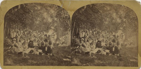 Stereograph of a group portrait of a large gathering of people outdoors on the grass under trees. Blankets and cloths are spread on the grass and many poeple have removed their hats. In the background a man is perching in a tree.
