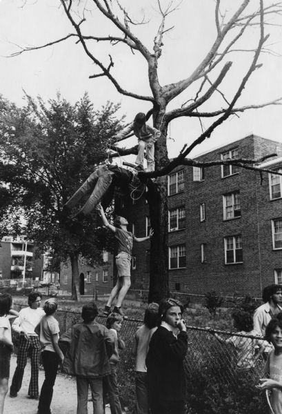 Caption on the reverse reads: "Kids in S. Boston housing project preparing to hang an effigy of a black man." Children are lined up along a chain-link fence, watching as two boys are pulling an effigy of an African-American man up into a dead tree. One of the boys is standing on the top of the fence helping the boy in the tree. In the background are shrubs, trees and a housing project. This image was captured during the unrest following court-ordered school desegregation busing.