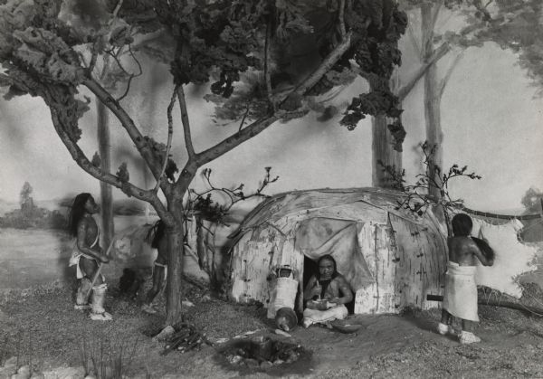 A Wisconsin Indians diorama in an exhibit at the Wisconsin Historical Society. Two figures are standing behind a tree, another figure is sitting at the entrance to a birch bark lodge, and another figure is standing on the right. An infant in a papoose or cradle board is leaning against the side of the lodge.