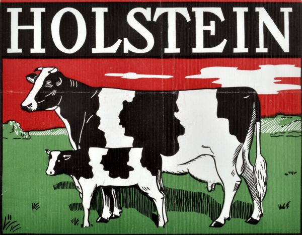 Label submitted to the State of Wisconsin for trademark registration from the Marshfield Milling Co. "Holstein." Holstein cow and calf in black and white colors with green and red background.
