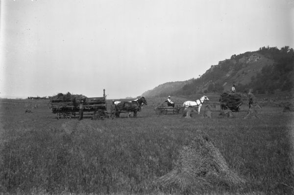 View across field of two men pitching grain into horse-drawn wagons. Between the two wagons is a man in a horse-drawn carriage. In the far background is another group of men with a wagon. On the right are steep bluffs.