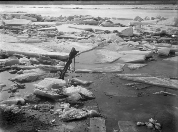 View from shoreline of ice on the river beginning to break up. There is a piece of wood with a rope attached sticking out of the river bed.