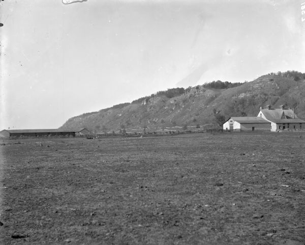 View across field of farm on the estate, showing a sheep or horse shed on the left and a cow or horse barn on the right. In the background is a bluff.