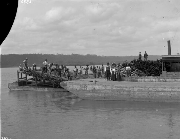 View across water of men working to construct a brush dam about seven miles north of Cassville. There are two groups of well-dressed people, who appear to be touring the project, standing on a barge.