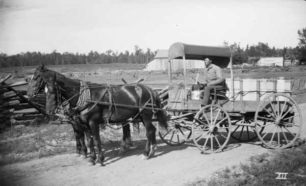 Man driving a cream wagon pulled by a team of horses and loaded with dairy products.