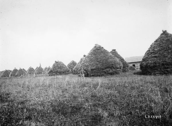 View across field of two men leaning against an enormous stack of grain on the farm of August Schmidt. There are many more stacks of grain leading into the distance. A log cabin is in the background on the right, and what appears to be a windmill is behind the stacks of grain on the left behind a fence.