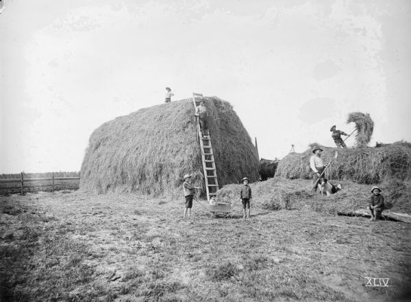 A group of farm workers, four men and four children, pose on the farm of H.D. Dutcher. The men are stacking a large pile of timothy hay, using a ladder to climb on top of the hay pile. One boy is holding the handle of a small wagon in which a young boy or girl is sitting. A team of horses is in the background.