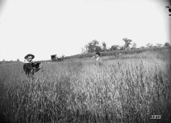 Man sharpening a scythe blade in a field of timothy hay. Another man stands near him in the field, and in the far background a man sits in a buggy with a team of horses.